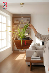 Person adjusting a hanging plant in a living room with a visible brand logo.