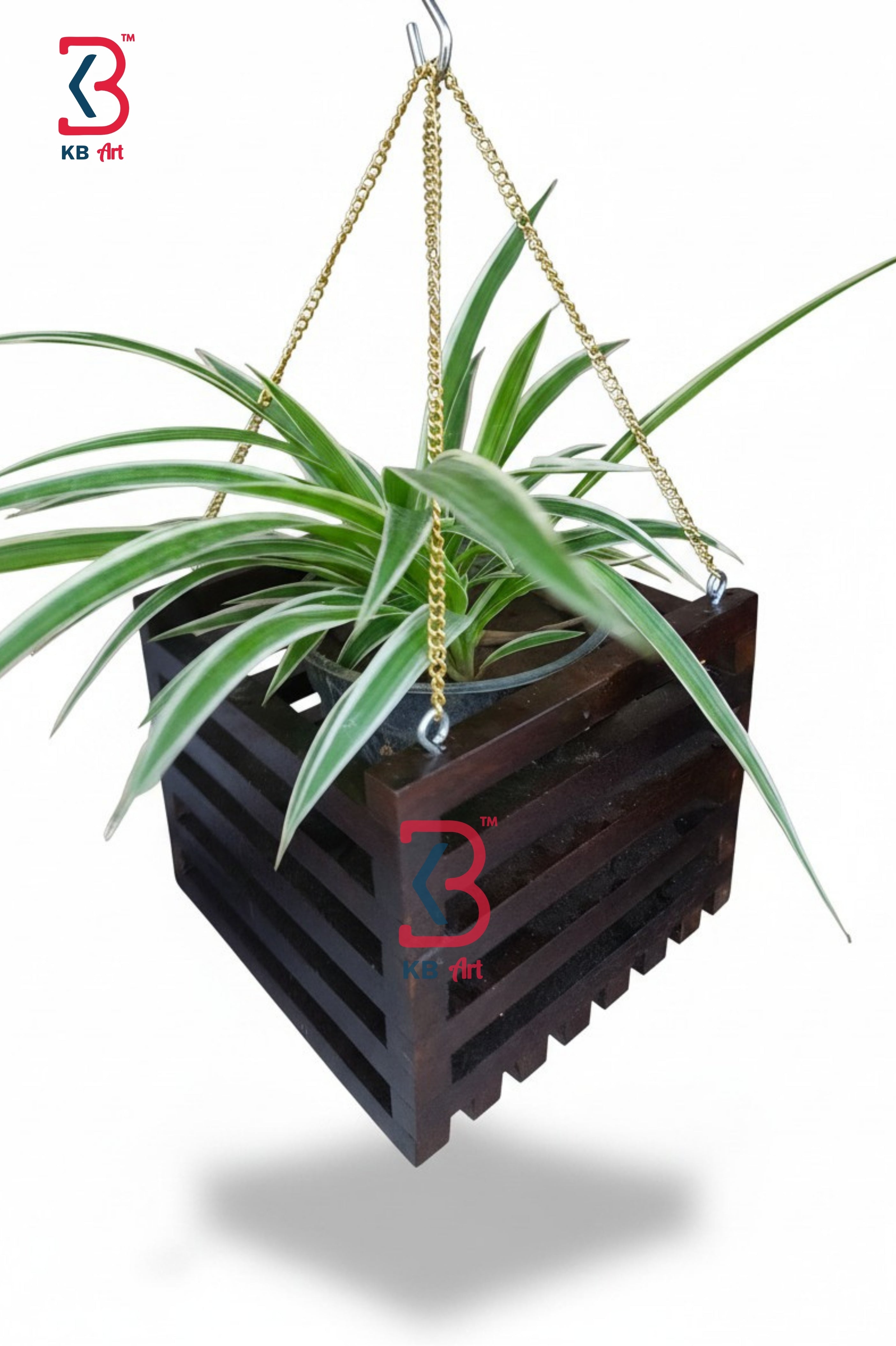 KB ART modern wooden wall pot and brown polished hanging planter featuring a square horizontal slatted design holding a vibrant green spider plant suspended by a golden chain.